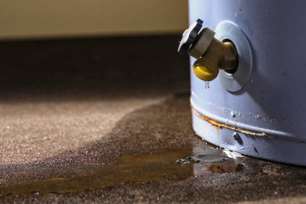 Best Flooded house restoration  in Haskell, AR
