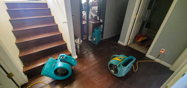 Best Water damage contractors near me  in Haskell, AR