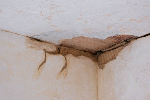 Best Professional water damage repair  in Haskell, AR