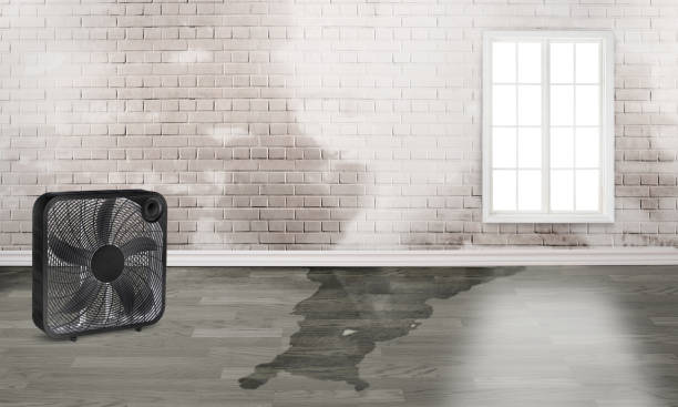Best Sewage cleanup and water damage restoration  in Haskell, AR