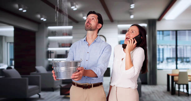 Best Mold removal after water damage  in Haskell, AR