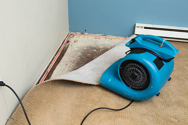  Haskell, AR Water damage restoration Pros